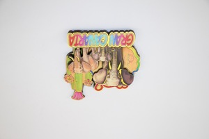 Aimants les plus vendus avec un design unique d'hiboux, d'hipposamies, de papillons et de lézards - Product Image 2