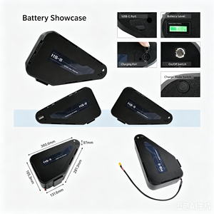 Kit de conversion de <span class=keywords><strong>vélo</strong></span> <span class=keywords><strong>électrique</strong></span> haute vitesse 80 km/h, moteur de moyeu arrière 60V 2500W, kit de roue MTX, <span class=keywords><strong>batterie</strong></span> au lithium triangulaire HS-II en option - Product Image 5