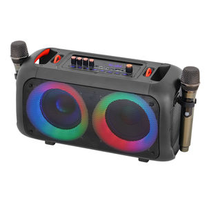 Altavoces Portátiles Inalámbricos para Exteriores, Escenarios, Estudios, DJ, Fiestas, Karaoke, con Woofer Dual de 6.5'', Bajos de Alta Potencia y Luces de Colores - Product Image 3