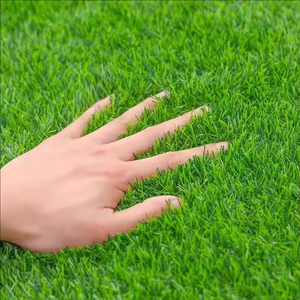 Gazon synthétique <span class=keywords><strong>de</strong></span> haute qualité 20 mm, <span class=keywords><strong>tapis</strong></span> d'herbe artificielle souple pour terrain <span class=keywords><strong>de</strong></span> football intérieur, salle <span class=keywords><strong>de</strong></span> sport, <span class=keywords><strong>pelouse</strong></span> verte - Product Image 6