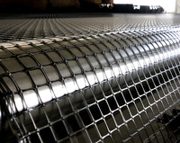 Grilles géotextiles biaxiales en plastique PP 40/40Kn pour l'ingénierie civile, la construction d'asphalte et de routes, et le renforcement des allées