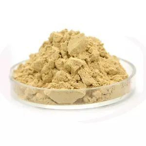 FST Biotec Newest Ginseng Extract Powder High Quality Korean Red Ginseng Extract Best Price