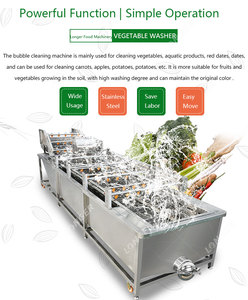 Machine industrielle <span class=keywords><strong>de</strong></span> lavage <span class=keywords><strong>de</strong></span> <span class=keywords><strong>tomates</strong></span>/pommes  Prix du lave-fruits - Product Image 3