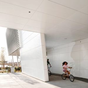 Nouvelle conception 2024 de panneau de revêtement mural pour mur extérieur, carreaux de moquette, façades de bâtiments, aluminium - Product Image 5