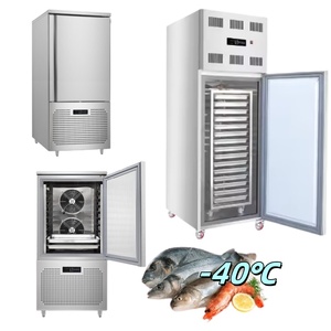 Congélateur rapide tunnel IQF extérieur avec compresseurs et évaporateurs, capacités de 5, 2, 1 TONNE, 500 kg, 300 kg, 1000 kg/h pour viande et crevettes - Product Image 6