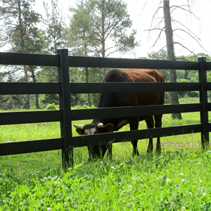 American Farm 6 FT Acero galvanizado T Poste Valla para ganado Negro - Product Image 2