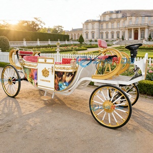 Carruaje Eléctrico de Lujo para Bodas, Sin Techo, Nuevo Producto con 4 Ruedas de Acero, Utilizado para Recorridos Turísticos Reales y Carretas Tiradas por Caballos - Product Image 2