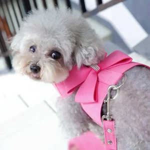 Bowknot <b>Pet</b> Dog <b>Harness</b> Soft Breathable Dog <b>Harnesses</b> with Walking Leash for Large Medium Small Dogs - Product Image 2