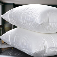 Oreiller de lit en canard lavable, personnalisé, plusieurs tailles, 100% coton, 1000g, hôtel de luxe, avec sac
