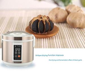 Machine de Fermentation d'<span class=keywords><strong>Ail</strong></span> <span class=keywords><strong>Noir</strong></span> Commerciale XB de Haute Qualité avec Moteur, Garantie 1 An, Composants Essentiels du Récipient sous Pression - Product Image 3