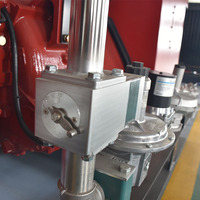 Convertidor de biogás rural N6S9, generador de gas propano de 220KW con arranque eléctrico de refrigeración por agua, para GLP y gas natural