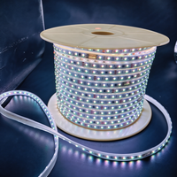 Bande lumineuse LED néon flexible DC24V en PVC, étanche IP68, télécommande, puce Epistar, Ra85, durée de vie de 50 000 heures, 60 lumières/m