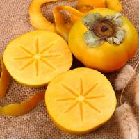 Vente en gros de feuilles de kaki séchées, extrait de poudre de fruit Hoshigaki, flavonoïdes 10%, poudre de kaki