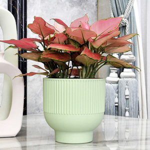 Fabricant de jardinières personnalisées en gros, pots de fleurs de jardin extérieurs, jardinières en plastique texturé <span class=keywords><strong>moins</strong></span> chères de Chine - Product Image 3