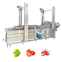 Industriële groentewasser, industriële groentewasmachine, fruitwasmachine, groentewasmachine