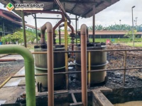 Volledig geautomatiseerde palmolieverwerkingsinstallatie voor Indonesië en Maleisië, palmolieproductielijn, maatwerk service beschikbaar in China