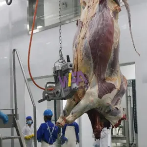 Halal Beef Slaughter house Viehs ch lacht hof Ausrüstung der Kuh brust Offene Säge für Schlacht maschine
