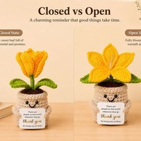 Offre Spéciale : Adorable Plante en Pot Lumineuse au Crochet, Poupée Faite Main en Fil Tricoté, Ornement avec Carte d'Énergie Positive, Décoration de Bureau, Cadeau