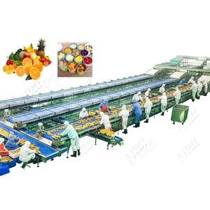 Автоматическая линия по производству консервированных желтых персиков ананасов ломтиков клубники вишни фруктов консервирования - Product Image 1