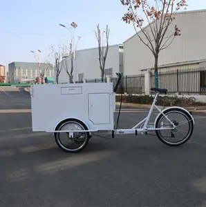 레트로 커피 자전거 전기화물 세발 자전거 맞춤형 핫도그 자판기 카트 3 륜 페달 보조 트라이크