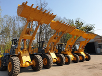 Robuster Neuer ZL50NC Radlader, 2,5 Tonnen, 3m³, Stabile Dieselkraft, für Hof- und Lagerhaltungsaufgaben, Günstiger Preis
