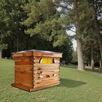 Ruche en bois à 10 cadres, équipement d'apiculture, ruches en bois, ruche à abeilles, cadre de ruche en bois enduit de cire