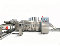 Plantainchips voor snackvoedsel groothandel private label zoute knapperige plantainschijfjes bulk voor retail export Latijns-Amerika