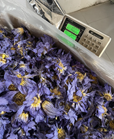 Fleurs de lotus bleues entières séchées, thé de fleurs de nénuphar sacré égyptien pour infusion de thé bien-être et encens, emballage cadeau