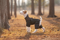 Vêtement de Pluie Imperméable pour Chien avec Harnais, Combinaison Intégrale 4 Pattes Réfléchissante pour Petits et Grands Chiens, Vente en Gros B2B