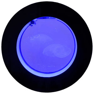 Réservoir de méduses en acrylique blanc et noir de bureau 8L/18L/50L petit Aquarium cadeau de ménage Aquarium rond Aquarium créatif Aquari - Product Image 4