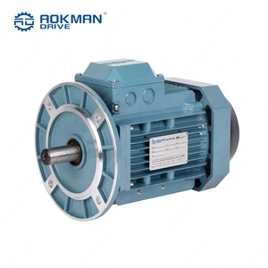 Moteur électrique triphasé, moteur à induction industriel pour compresseur d'air et système d'entraînement mécanique - Product Image 5