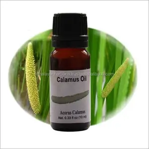 100% 天然的菖蒲油从印度Acorus Calamus精油制造商批量