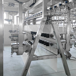 Máquina Industrial para Procesamiento de Pollo, Máquina de Depenado de Aves de Corral a Gran Escala, Depenadora de Plumas - Product Image 3