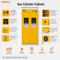Armoire de stockage pour 2 bouteilles de gaz en acier avec rampe de chargement, fournisseur OEM ODM personnalisé pour laboratoire, usine, entrepôt B2B
