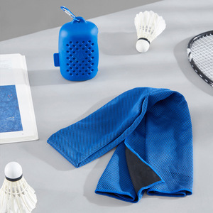 Serviette rafraîchissante en microfibre, serviette de sport à effet glace instantané, absorbant la transpiration, séchage rapide, avec bouteille, pour la salle de sport, la course à pied et les activités de plein air - Product Image 1