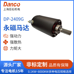 Dp 2409g Dc Permanent Magnet Brushed Motor For Atv <b>Utv</b> Winch Mechanical Equipment - Product Image 5