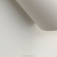 Tissu de bâche en PVC imperméable double face 650gsm ignifuge anti-moisissure et résistant aux taches pour jouets enduits de laque
