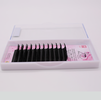 Extensions de cils individuels en forme de YY, courbures J, B, C, D, DD, qualité supérieure, vente en gros, logo personnalisé, fabricant OEM