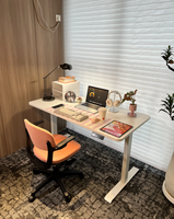 Escritorio de Computadora Ergonómico Moderno con Altura Ajustable Eléctricamente, Panel de Madera, para Oficina, Edificio, Hospital, Uso Comercial Directo