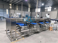 Hoge capaciteit aardappel sorteermachine voor groentefabriek 4-10 gradaties fruit- en groentesorteermachine