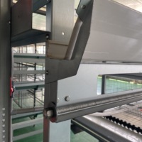 Cage à poulet automatique nouvelle condition équipement d'éleveur de volaille pour ferme Cage à batterie de type H poulailler