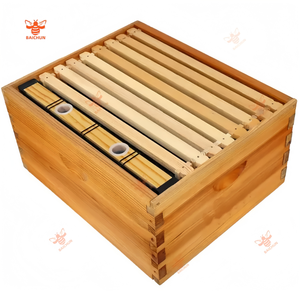 New 6L/4L <span class=keywords><strong>Bee</strong></span> <span class=keywords><strong>Feeder</strong></span> với nắp gỗ nước nghề nuôi ong hộp cho ăn bồn rửa Hive công cụ cho bees' cấp nước chăn nuôi thiết bị - Product Image 5