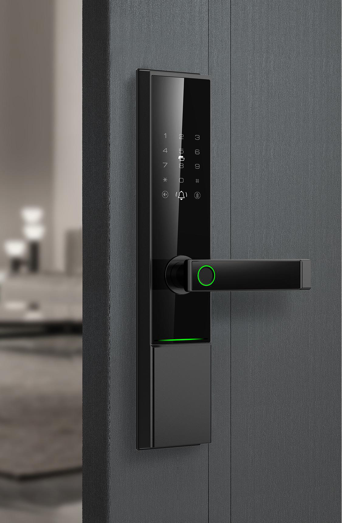 Outdoor IP65 Waterproof Aluminum Smart Door Lock with Fingerprint RFID Passcode Key for & Cloud Storage TTlock · image 3