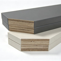 Panneau de contreplaqué stratifié 18 mm 4x8, âme 100 % eucalyptus, mélaminé, imperméable pour meubles et armoires