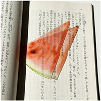 Watermeloen Appel & Vijg Fruit Harsen Boekenlegger Schattig Design Hoge Esthetiek Transparant Instagram Stijl Cadeau voor Terug naar School