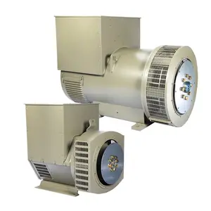 Generatore dinamo elettrico trifase in filo di rame classe H 20kw 30kw 40kw 50kw alternatore Brushless/