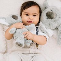 Collection de jouets en peluche 12 \ "Shay Koala ours en peluche Animal en peluche Super doux gris blanc porte-clés lavé Technique mignon PP
