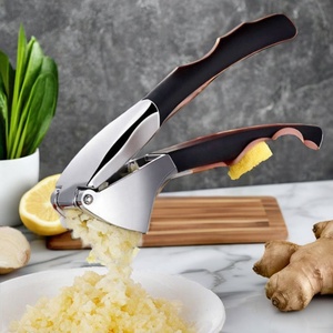 Prensa y pelador de ajo de aleación de zinc Manuel, herramienta de cocina de metal para triturar verduras, incluido el ajo - Product Image 3