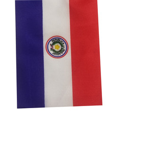 Banderas ondeando a mano de Paraguay, pancartas de plástico de poliéster <span class=keywords><strong>y</strong></span> vinilo con logotipo personalizado, número de modelo de bandera mundial - Product Image 3