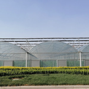 Multi span casa verde marcos de acero galvanizado con sistema de refrigeración para el cultivo de caracoles - Product Image 4